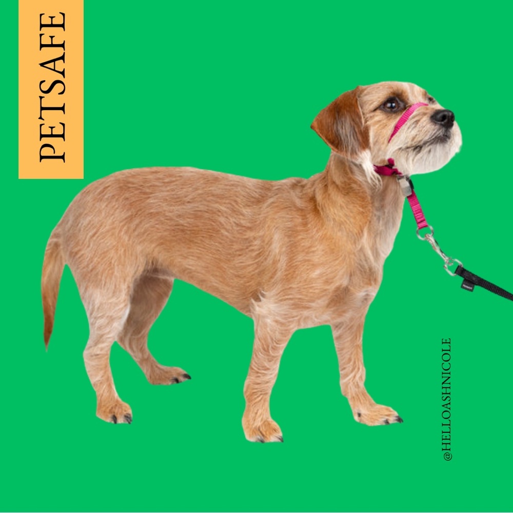 PetSafe Gentle Leader Headcollar, Raseberry Size M